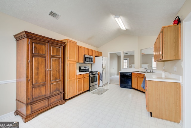 kitchen featuring sink, stainless steel appliances, a textured ceiling, and lofted ceiling