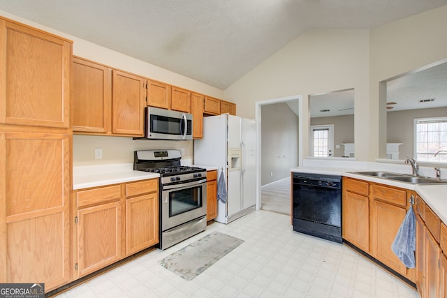 kitchen with sink, plenty of natural light, lofted ceiling, and stainless steel appliances