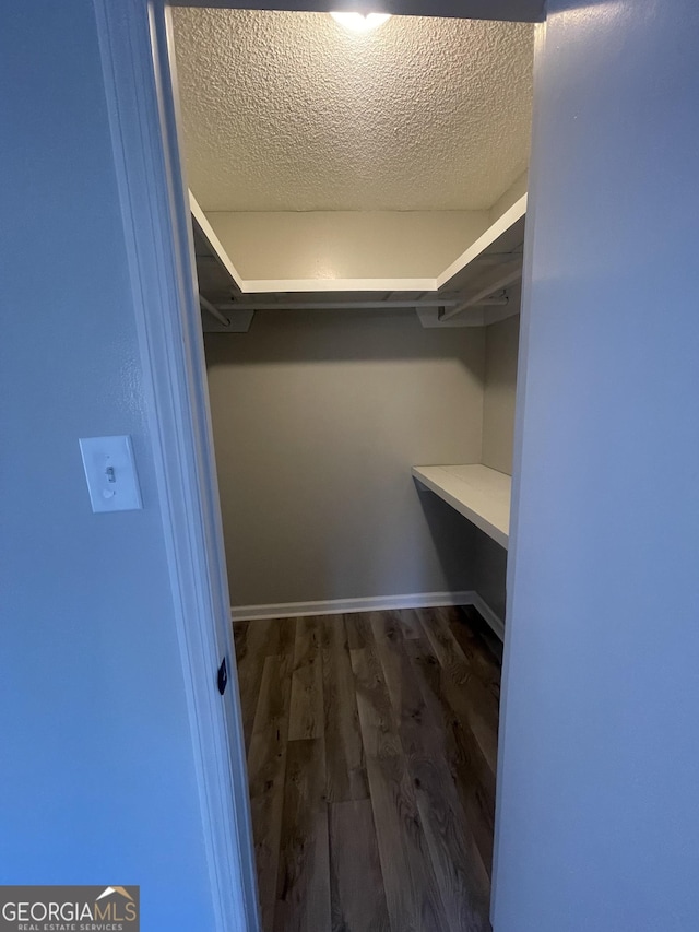 spacious closet with dark hardwood / wood-style floors