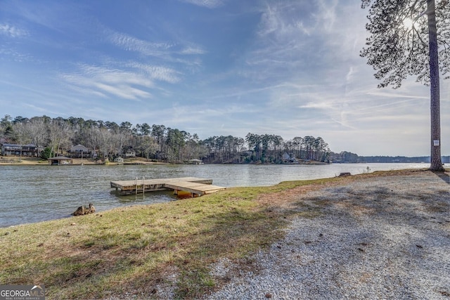 dock area with a water view