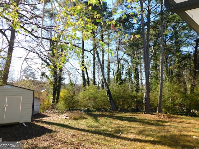 view of yard featuring an outbuilding and a storage shed