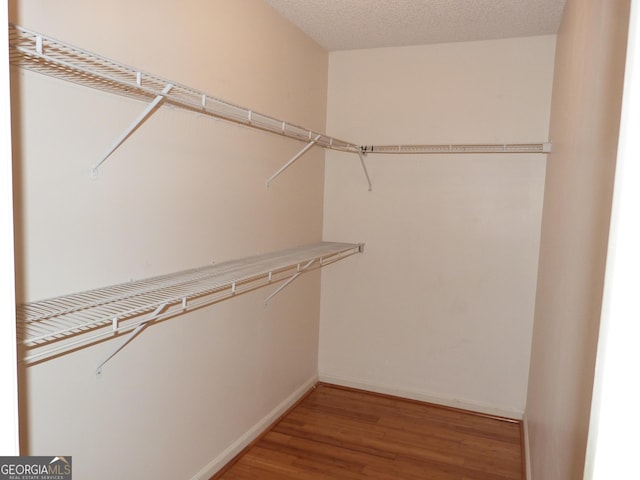 walk in closet featuring hardwood / wood-style flooring