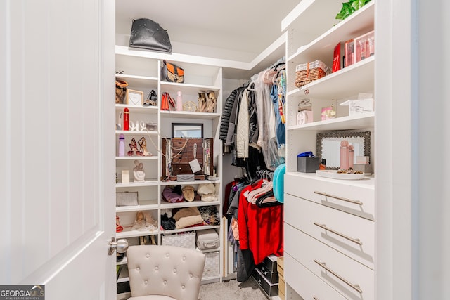 walk in closet with light colored carpet