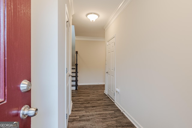 corridor with dark hardwood / wood-style flooring and crown molding