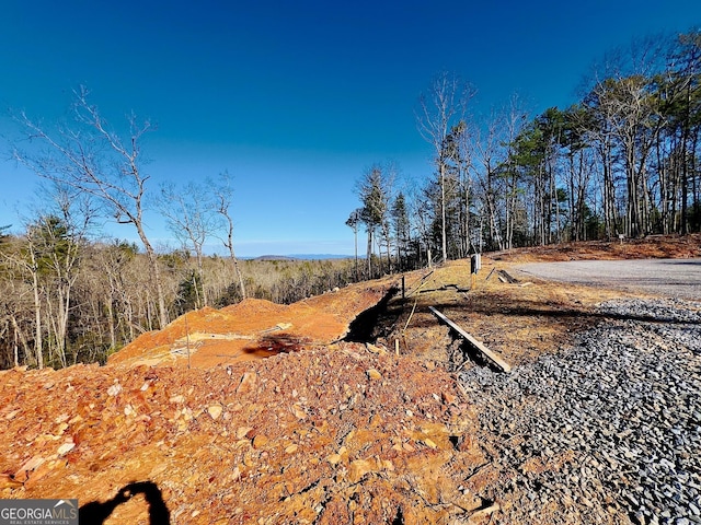 view of local wilderness