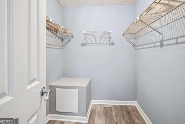 walk in closet featuring hardwood / wood-style floors