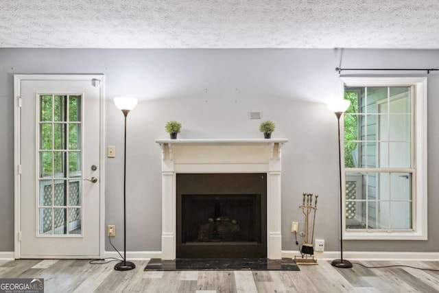 living room with a textured ceiling and hardwood / wood-style flooring