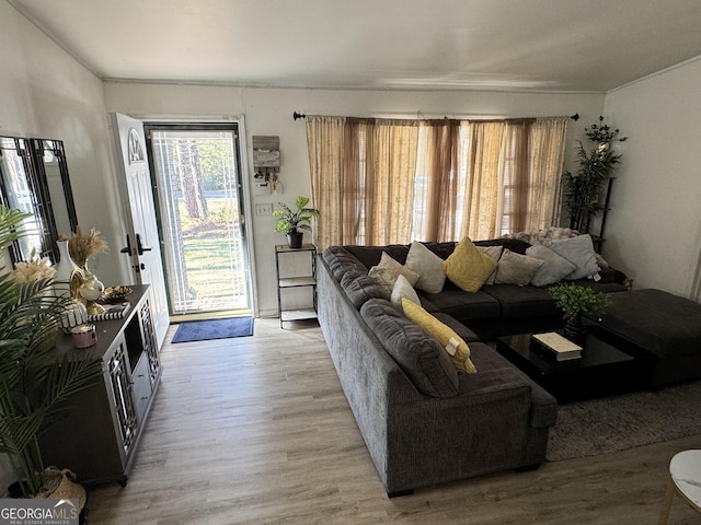 living room featuring hardwood / wood-style flooring