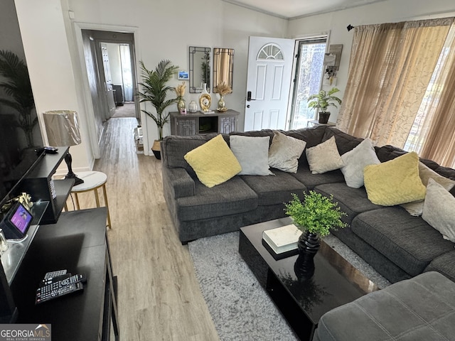 living room featuring hardwood / wood-style flooring