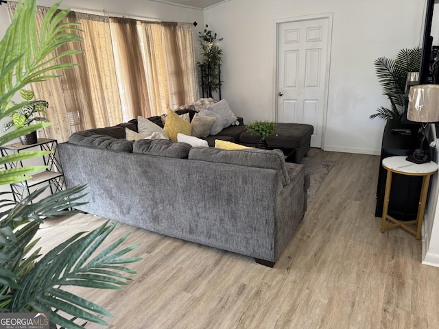 living room featuring light hardwood / wood-style flooring