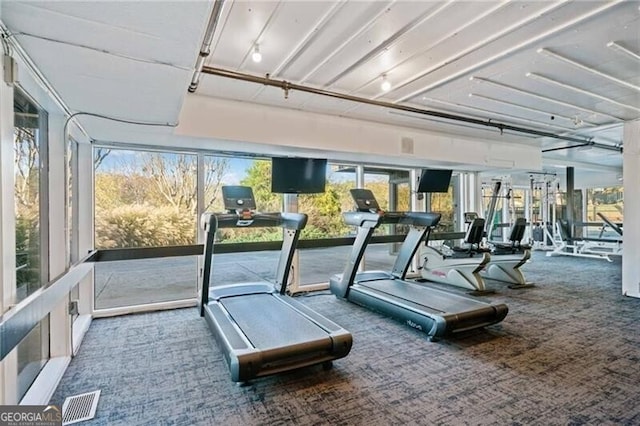 exercise room featuring carpet