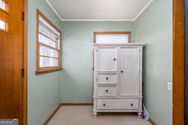 interior space featuring light carpet and crown molding