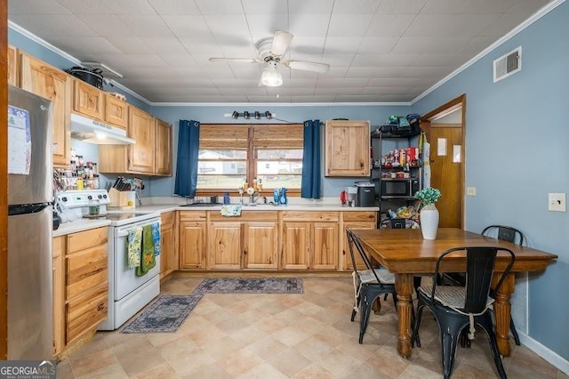 kitchen with light brown cabinets, stainless steel appliances, ceiling fan, and ornamental molding