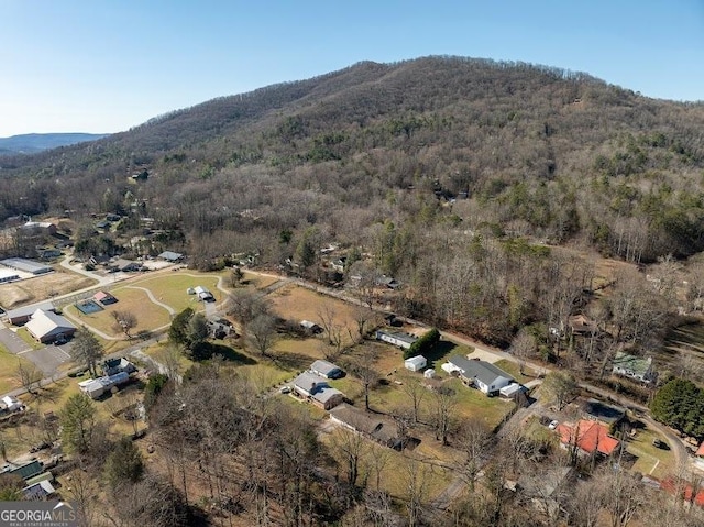 aerial view with a mountain view