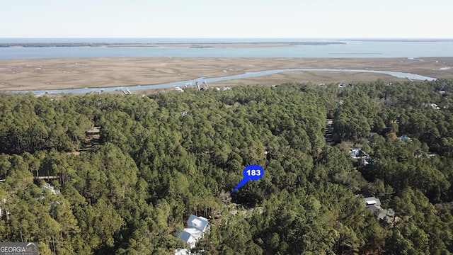 Listing photo 3 for 0 Jetty Pl, Saint Marys GA 31558