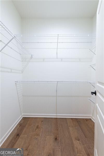 walk in closet featuring hardwood / wood-style flooring