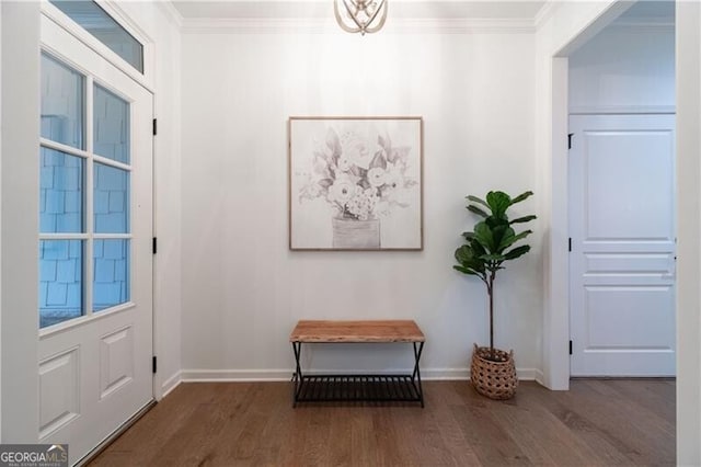 entryway featuring dark hardwood / wood-style floors and crown molding