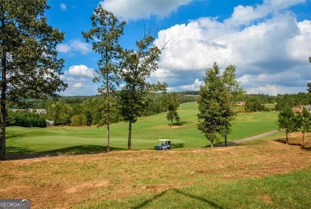 view of property's community featuring a lawn