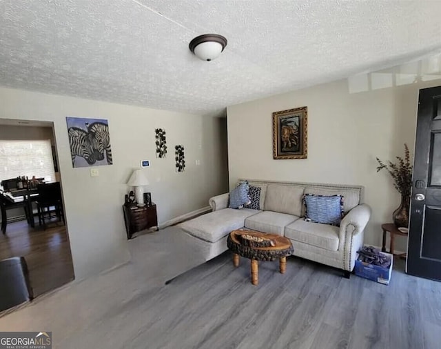 living room featuring hardwood / wood-style flooring and a textured ceiling