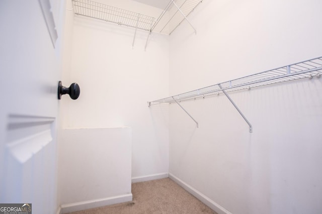 spacious closet with light colored carpet