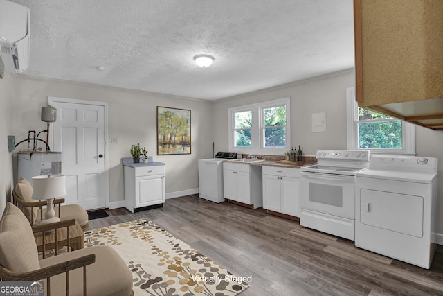 laundry area with wood-type flooring, washer / dryer, and a wealth of natural light