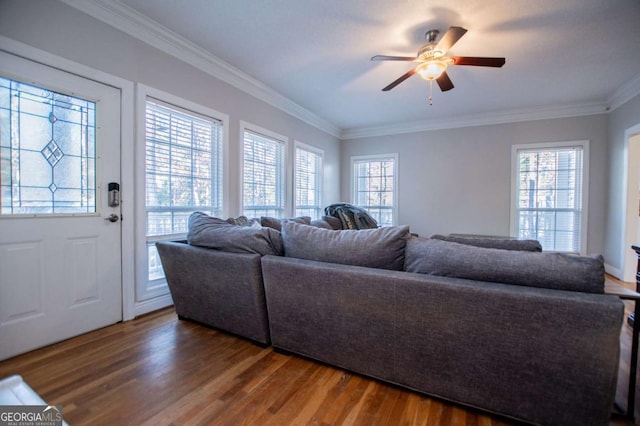 living room with dark wood-type flooring, ceiling fan, and crown molding