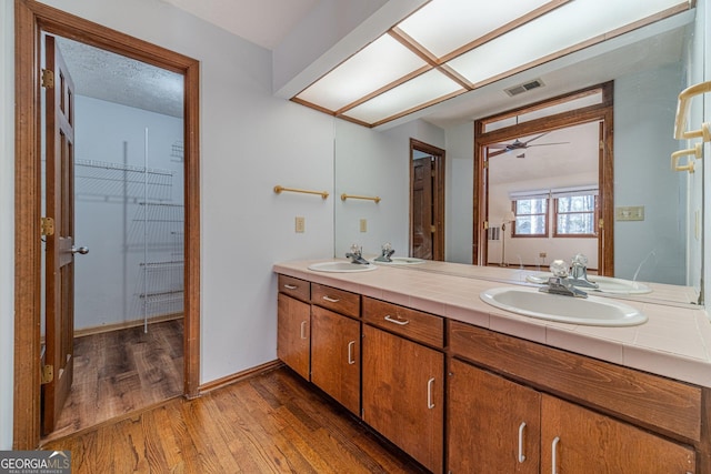 bathroom with hardwood / wood-style flooring and vanity