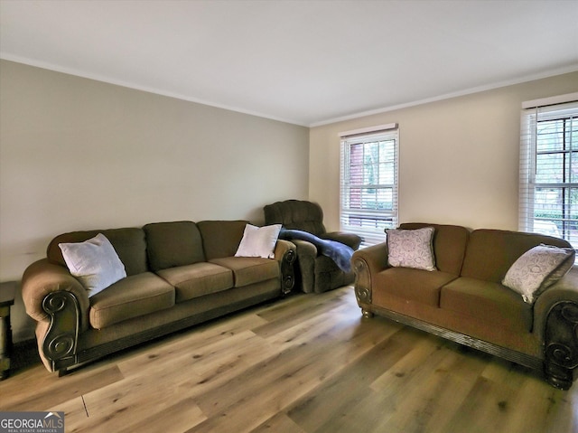 6520 Roswell Rd Unit 59, Sandy Springs, GA 30328 - living room featuring crown molding and wood finished floors