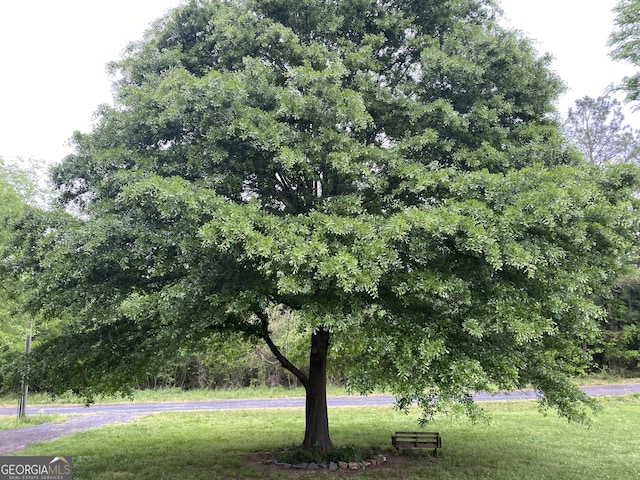 surrounding community with a lawn