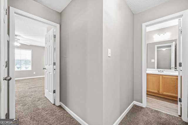 hallway featuring carpet, a textured ceiling, and sink