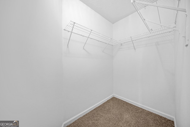 spacious closet with carpet