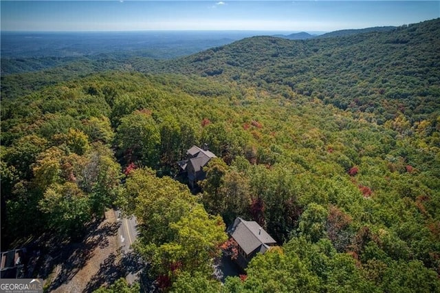 birds eye view of property featuring a mountain view
