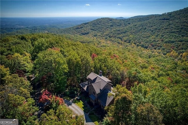 bird's eye view