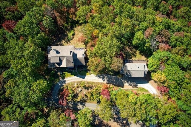 bird's eye view