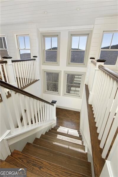 stairs with hardwood / wood-style flooring
