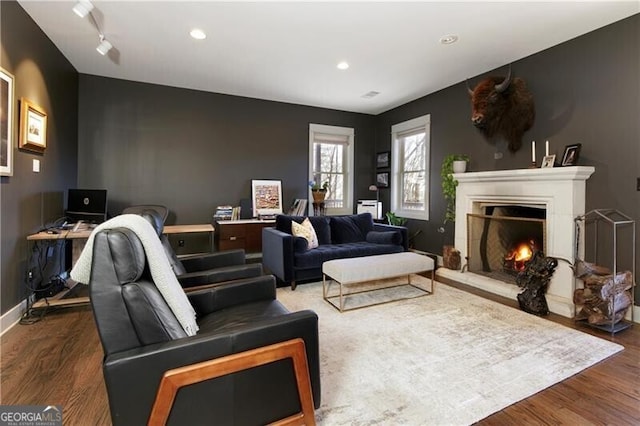 living room featuring hardwood / wood-style flooring
