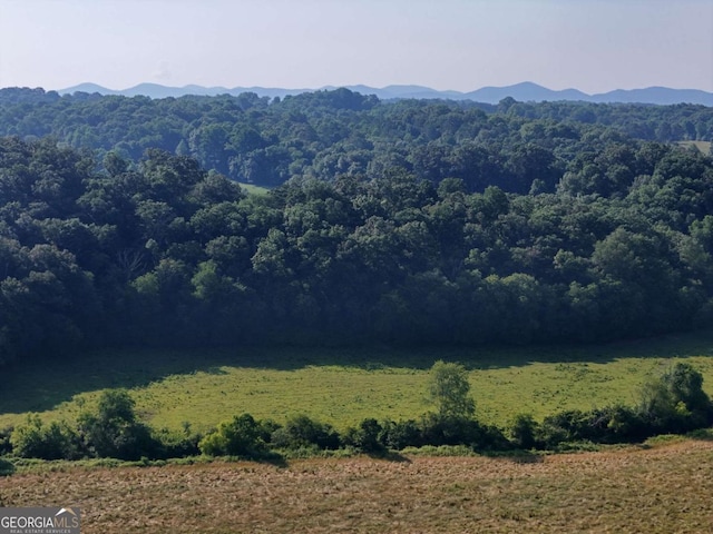 LOT1 Spring Ridge Dr, Morganton, GA 30560