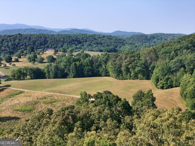 LOT1 Spring Ridge Dr, Morganton, GA 30560