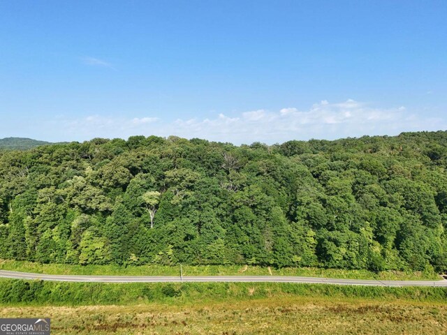 LOT1 Spring Ridge Dr, Morganton, GA 30560