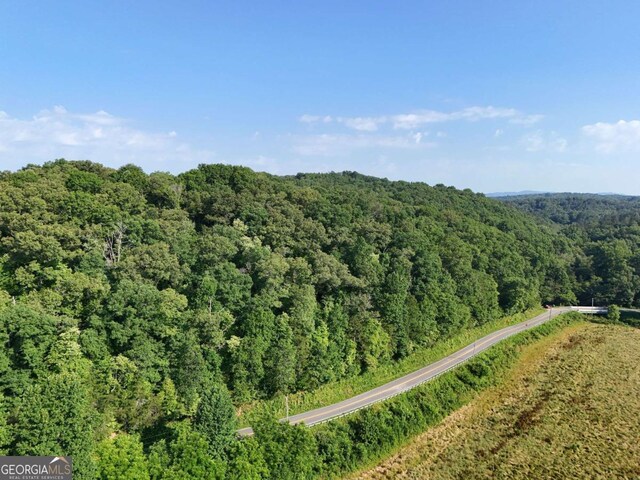 LOT1 Spring Ridge Dr, Morganton, GA 30560
