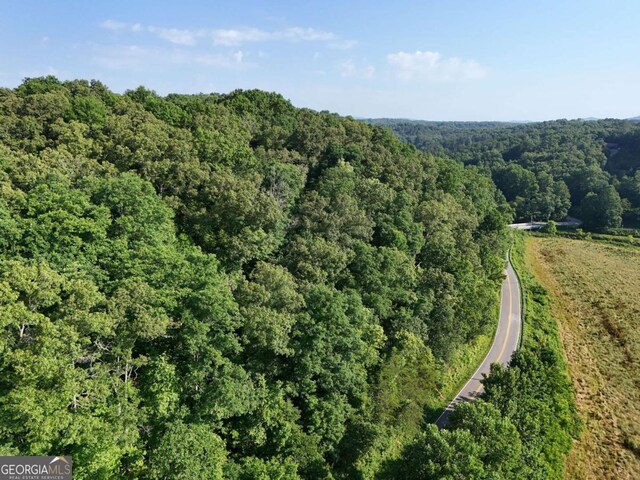 LOT1 Spring Ridge Dr, Morganton, GA 30560