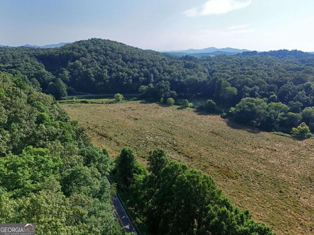 LOT1 Spring Ridge Dr, Morganton, GA 30560