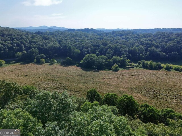 LOT1 Spring Ridge Dr, Morganton, GA 30560