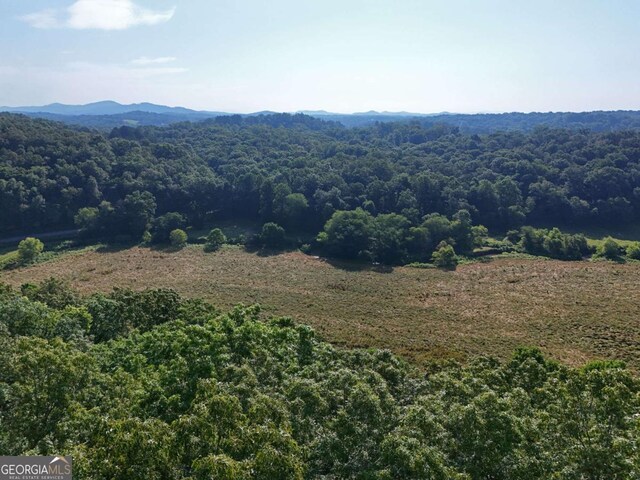 LOT1 Spring Ridge Dr, Morganton, GA 30560