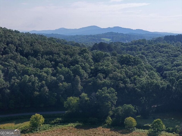 LOT1 Spring Ridge Dr, Morganton, GA 30560
