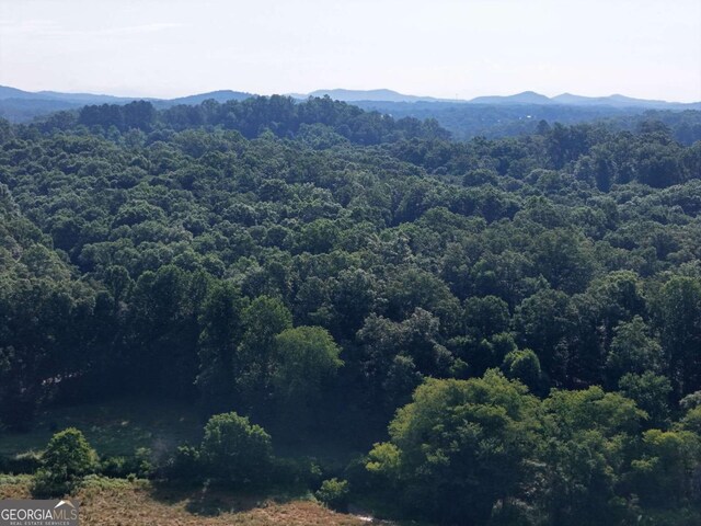 LOT1 Spring Ridge Dr, Morganton, GA 30560