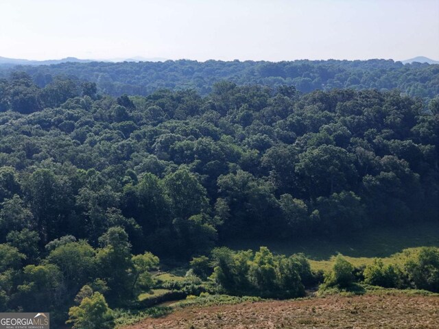 LOT1 Spring Ridge Dr, Morganton, GA 30560