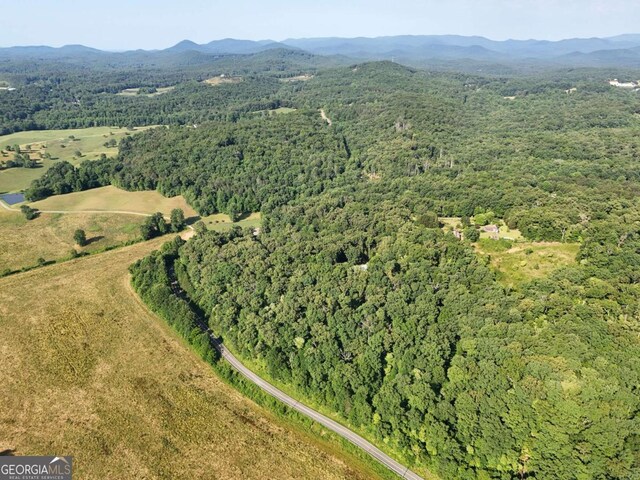 LOT1 Spring Ridge Dr, Morganton, GA 30560