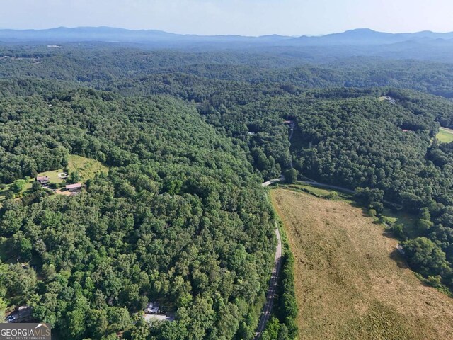 LOT1 Spring Ridge Dr, Morganton, GA 30560