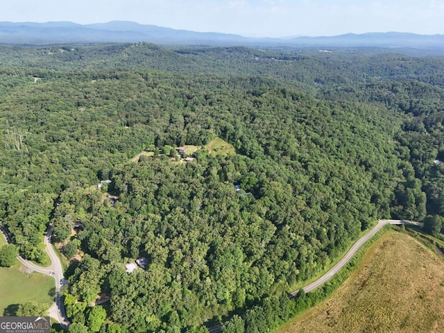 LOT1 Spring Ridge Dr, Morganton, GA 30560